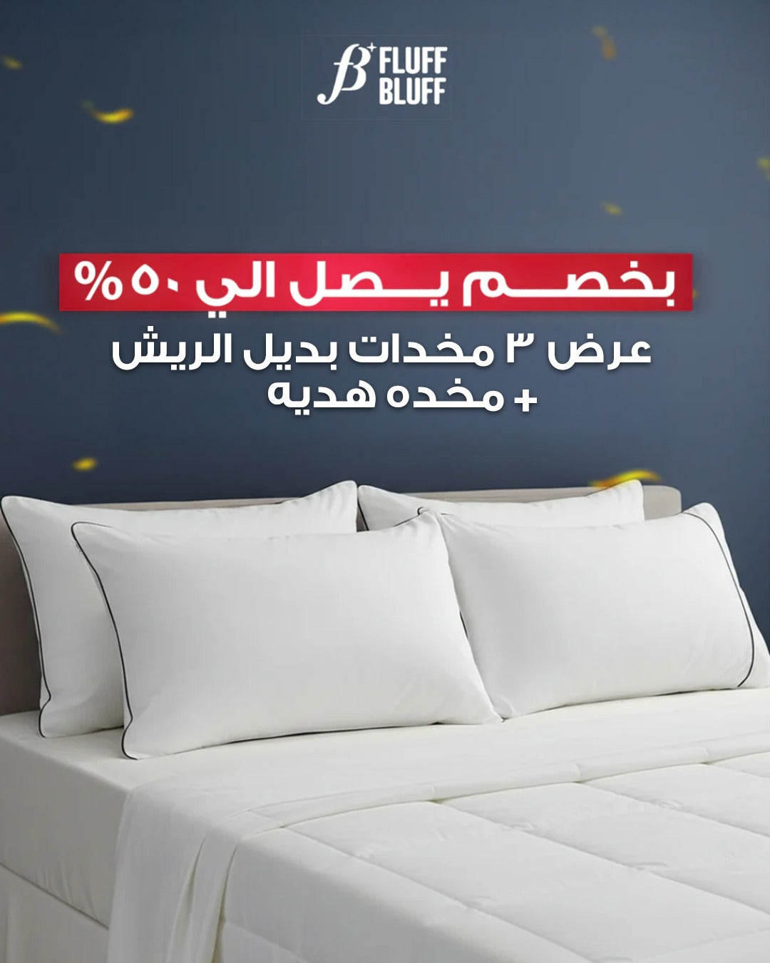 عرض 3 مخدة بديل ريش+ مخدة هدية