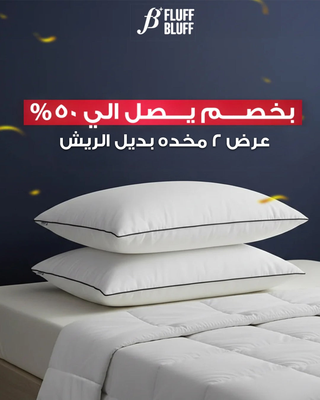 عرض 2 مخدة بديل ريش